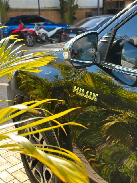 Toyota Hilux, emblema (foto 15 de 18)