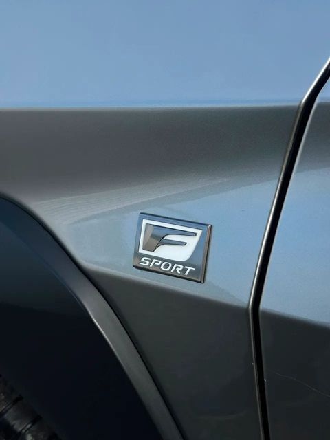 Lexus UX 250h, emblema (foto 15 de 20)