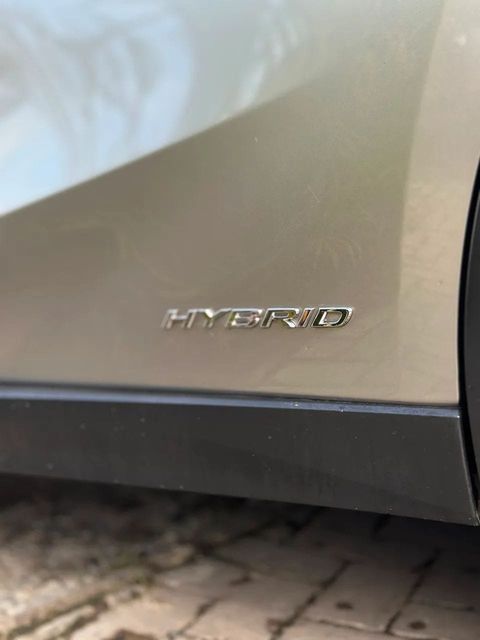 Lexus UX 250h, emblema (foto 17 de 20)