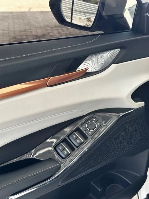 GWM Haval H6, painel da porta