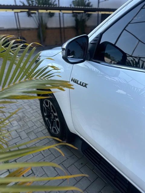 Toyota Hilux, emblema (foto 17 de 17)