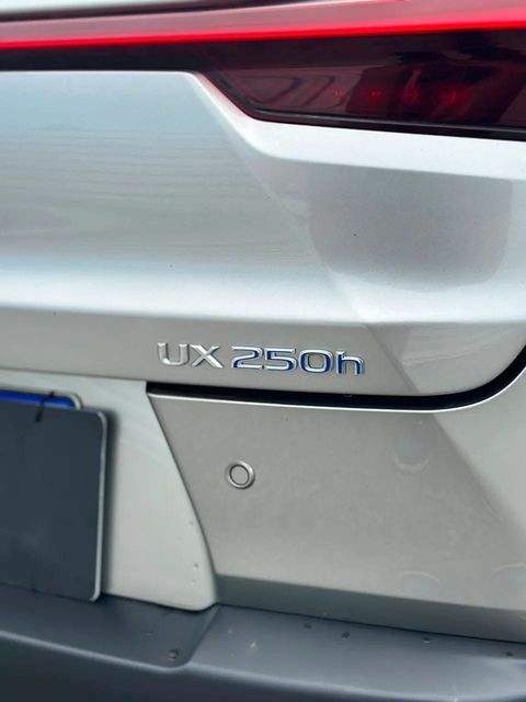 Lexus UX 250h, emblema (foto 19 de 20)